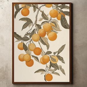 Vintage Orange Fruit Tree Drawing, Nature Poster, Warm Neutral Decor, Floral Wall Art, Flowers Still Life, Kitchen Botanical Painting Art