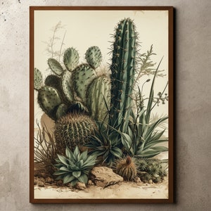 Vintage Kaktus Zeichnung, Botanisches Poster, Warmes Neutrales Dekor, Blumenwandkunst, Vintage Kaktus Skizze, Antiker Kaktus Druck, Bauernhausdekor