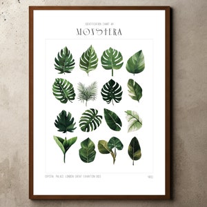 Tropical Decor, Jungle Print, Botanical Wall Art, Plant Decor Floral, Botanical Prints, Nature Poster, Ernst Haeckel, Monstera Plant Poster