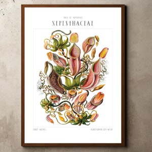 Tropical Decor, Jungle Print, Botanical Wall Art, Plant Decor Floral, Botanical Prints, Nature Poster, Ernst Haeckel, Tropical Plants Poster