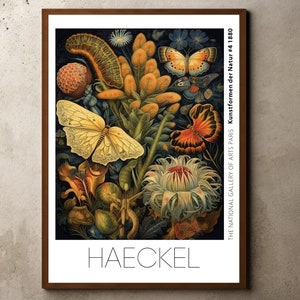 Ernst Haeckel Inspired Print, Ernst Haeckel Poster, Printable Botanical Wall Art, Floral Illustrations, Jungle Print Poster, Orchid Poster