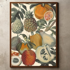 Botanical Identification, Kitchen Wall Art, Floral Decor, Ernst Haeckel Print, Tropical Fruits Print, Vintage Illustrations, Kitchen Poster