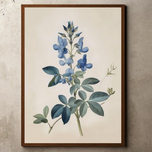 Wildflowers Wall Art, Vintage Flower Drawing, Botanical Prints, Farmhouse Botanical Print, Vintage Blue Flower Watercolor, Floral Wall Art
