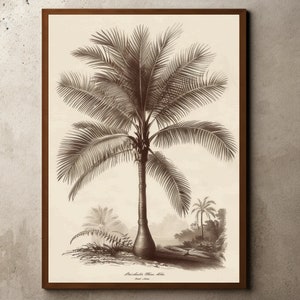 Vintage Palm Tree Drawing, Rustic Antique Farmhouse Print, Botanical Sketch, Vintage Tropical Jungle Palm Tree Art, Antique Palm Tree Print