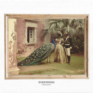Foto coloniale, arte della parete della giungla, cartolina d'epoca, stile coloniale britannico, arredamento tropicale botanico, Commonwealth britannico, pavone vintage