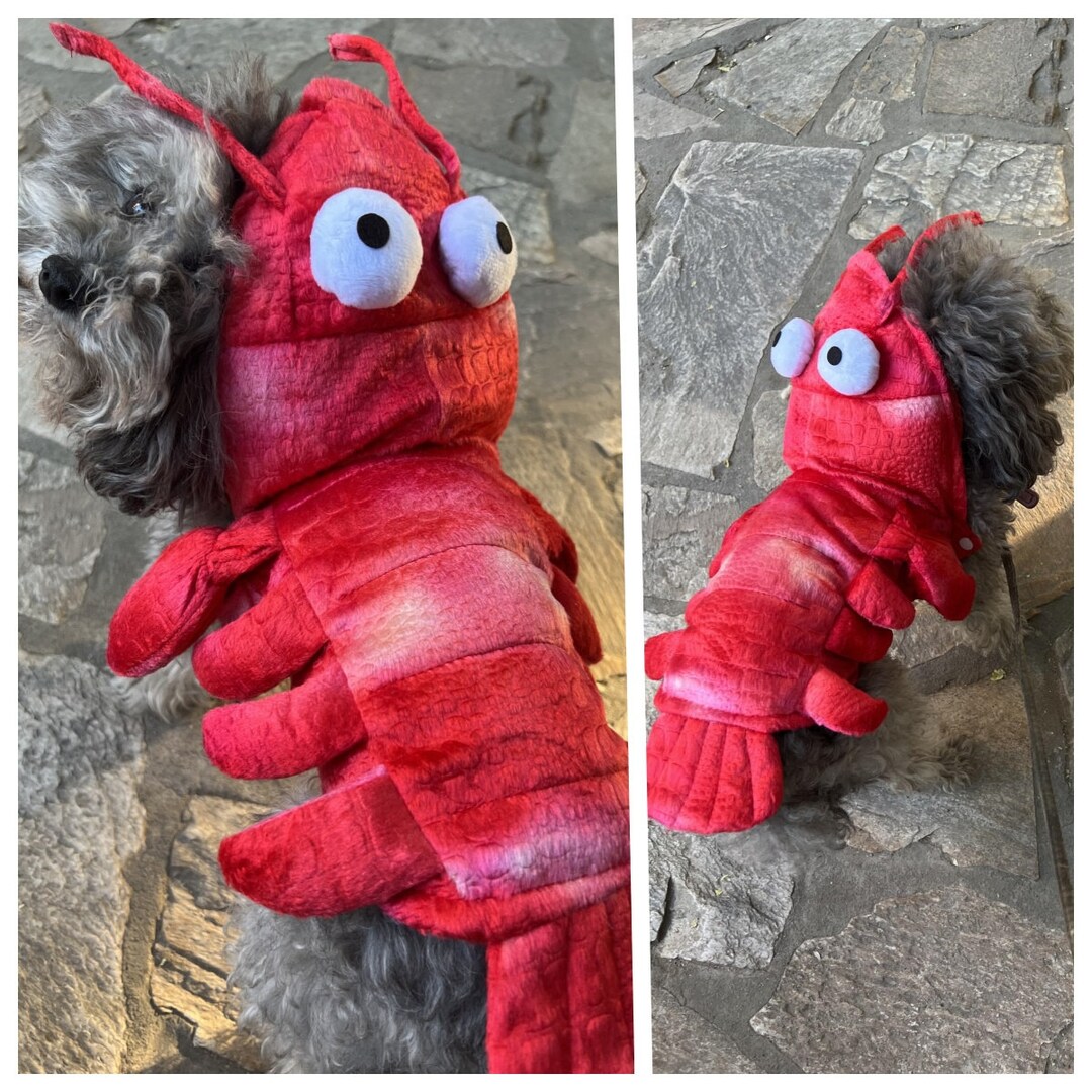 Small and Large Dog Lobster Costume Cat Lobster Costume Cat Etsy