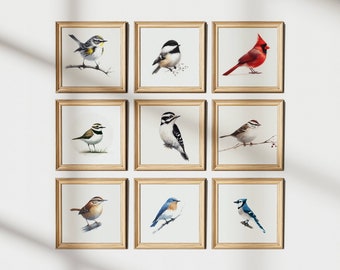 Bird Prints | Set of 9 North America Birds | Realistic | PRINTABLE | Art Print | Digital Download