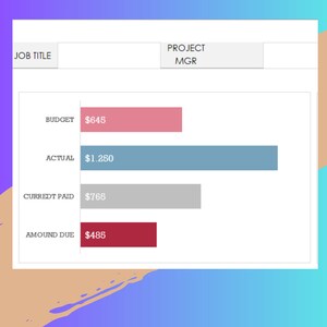 May include: A chart showing a budget of $645, an actual cost of $1,250, a current payment of $765, and an amount due of $485. The chart is labeled "Budget", "Actual", "Current Paid", and "Amount Due".
