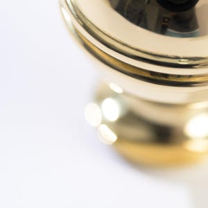Bute Bamboo Brass 1 1/4 inch Round Knob