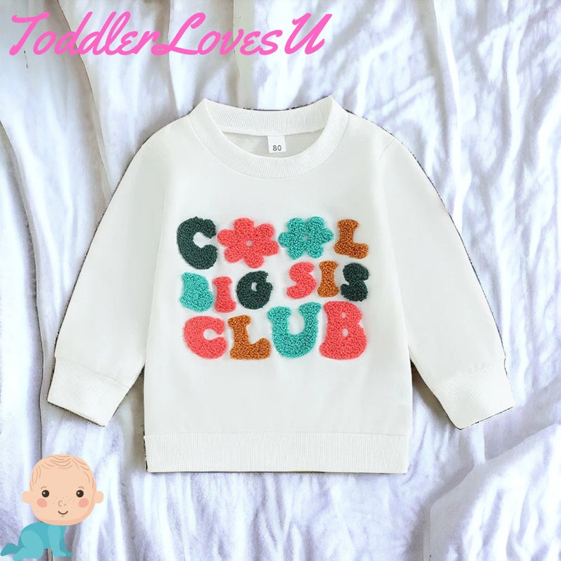 Cool Big Sis Club Sweatershirt, Big Sister Sweater Gift, Big Sister Clothes Gift, Sister Sweater, Sister Clothes, Embroidered Big Sis Shirt image 1