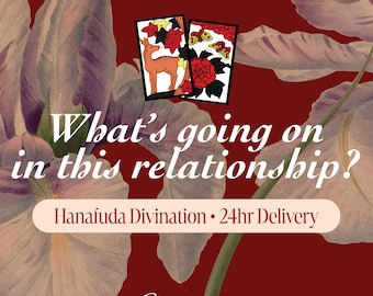 What's going on in this relationship? Same Day Love Reading Psychic Prediction Hanafuda Divination Up to 5 Questions Love Prediction