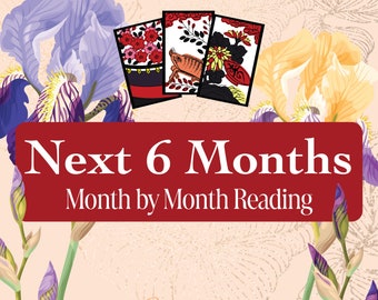 Next 6 Months Reading | Month By Month Prediction | Love Career Finance Personal Growth | Hanafuda Divination | Psychic Reading
