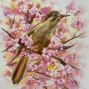 Original watercolour painting / Songbird / Originales Gemälde/  Aquarell / Watercolour / Picture / Bild / Aquarelle