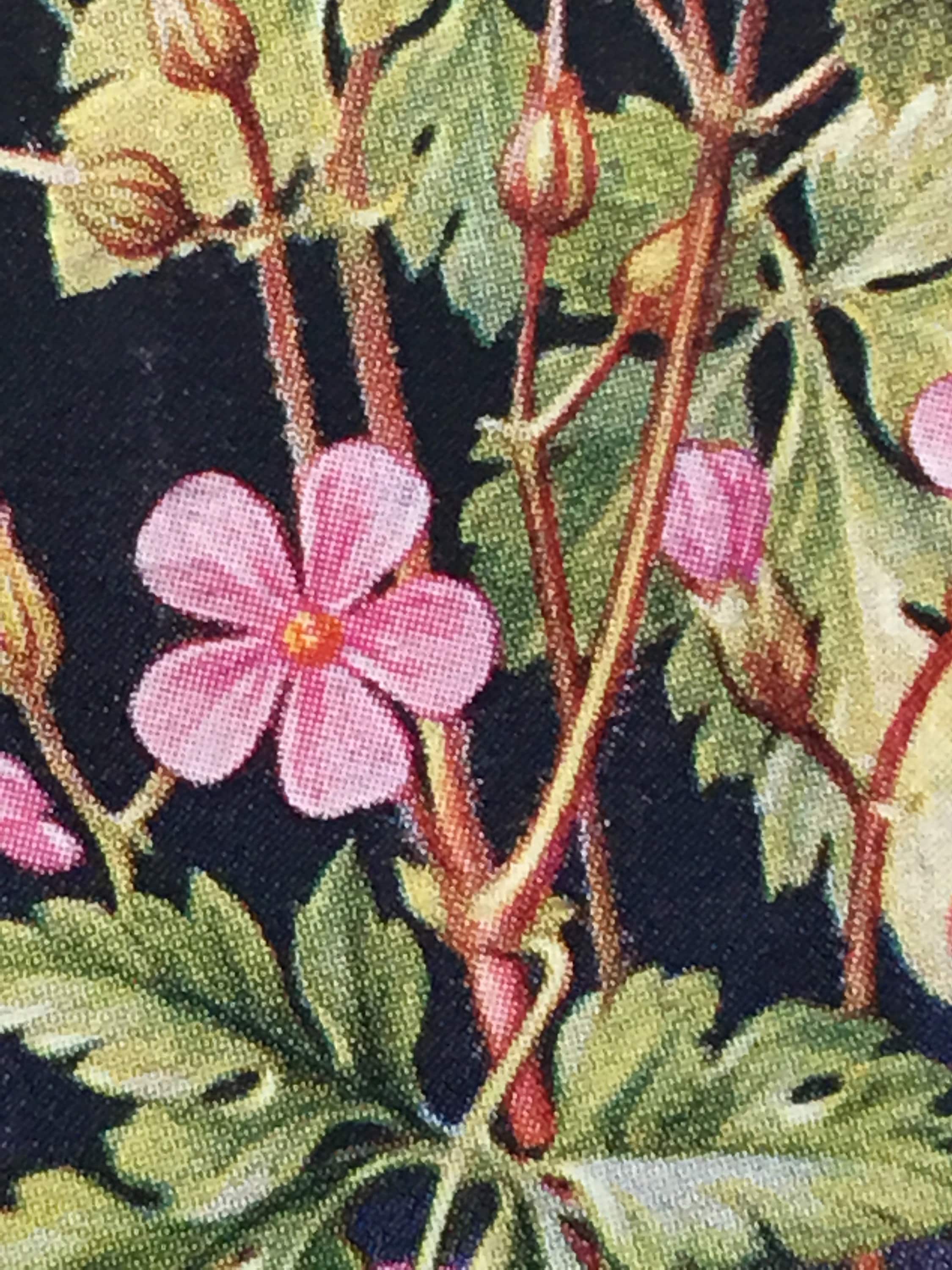 Wild Flowers Originals Cigarette Card Album by W.D & H.O Wills