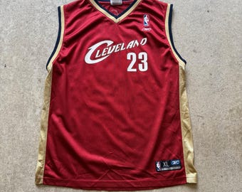 lebron jersey dress