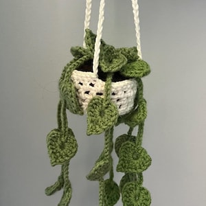 Hanging plant on hook, monstera plant, floral decoration for rearview mirror, hostess gift, housewarming, car decoration
