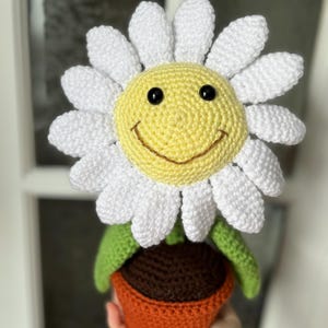 May include: A crocheted daisy flower with a yellow smiley face and white petals. The flower is in a brown pot with green leaves.