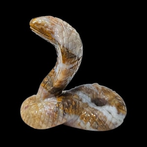 Ocean Jasper Cobra Snake 2.110 inch - Hand Carved Gemstone Sculpture
