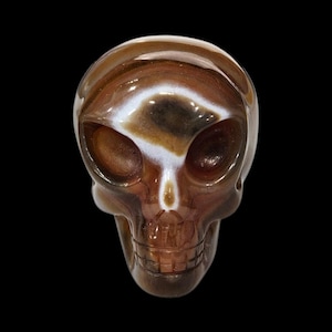 May include: A brown and white agate skull sculpture. The skull has a detailed face with eye sockets, a nose, and a mouth.