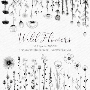 Arte de linha de flores silvestres, quadros de flores silvestres arte de linha botânica desenhada à mão, arte de linha floral SVG, flores e plantas vetoriais PNG, uso comercial