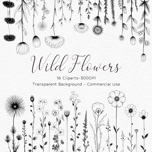 Wildflowers Line Art, Wild Flowers Frames Botanical Hand Drawn Line Art, Floral Line Art SVG, Vector Flowers and Plants PNG, Commercial Use