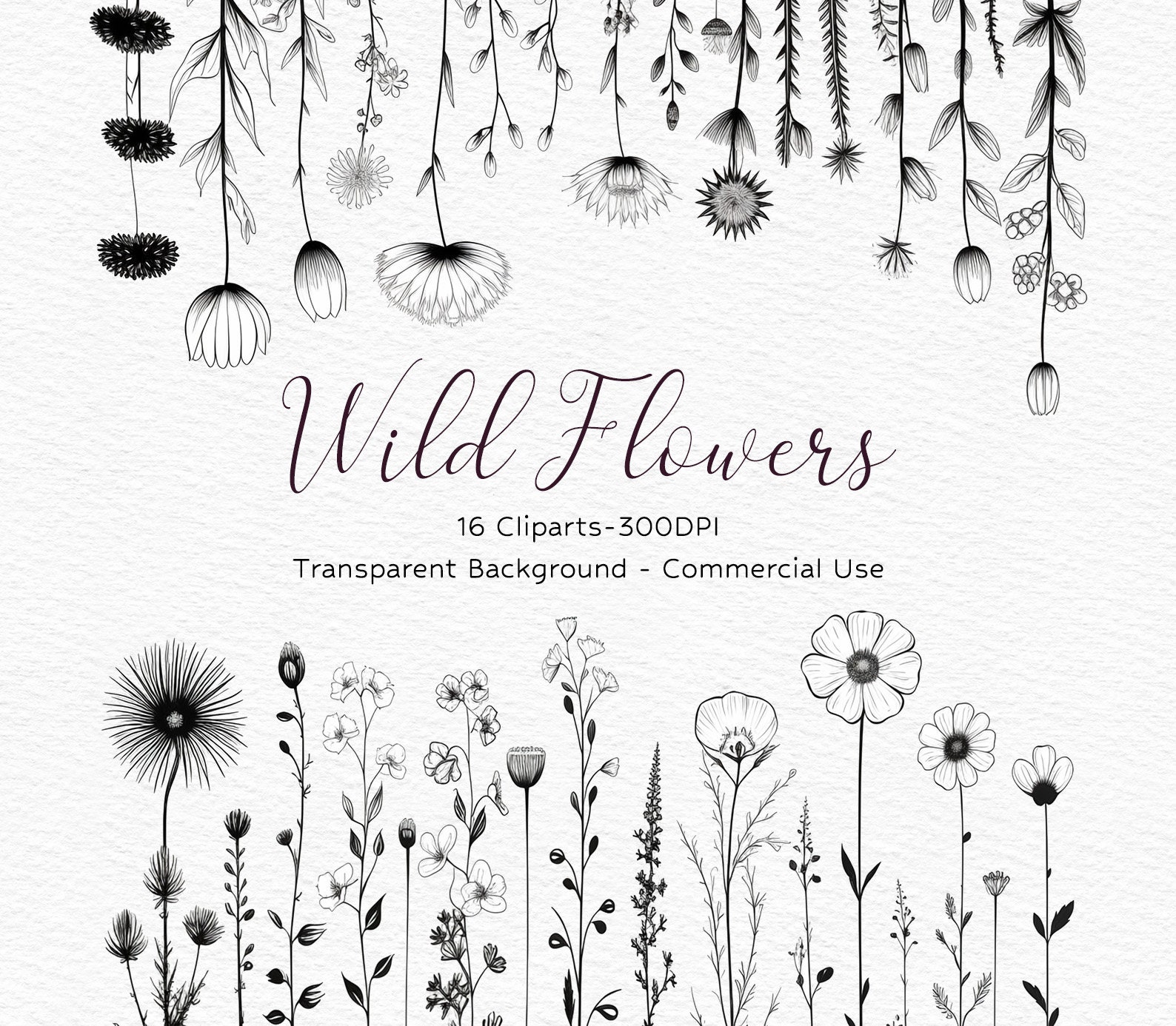 Wildflowers Line Art, Wild Flowers Frames Botanical Hand Drawn Line Art, Floral Line Art SVG, Vector Flowers and Plants PNG, Commercial Use