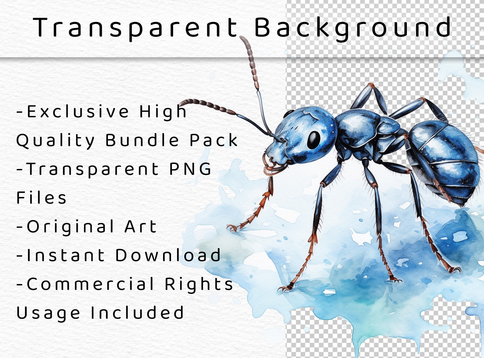 Watercolor Ant Clipart Animals PNG Clip Art Ant Digital Download ...