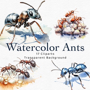 Watercolor Ant Clipart Animals PNG Clip Art Ant Digital Download Scrapbook Ants Clipart art Ant illustration cli part animals watercolor svg