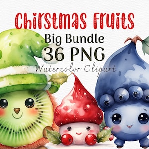 Weihnachten Clipart Aquarell Früchte Png niedliche Weihnachtsdekoration Clip Art Scrapbook Xmas digitaler Download Junk Journal Baby Cute Png Card