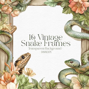 May include: A digital illustration of 16 vintage snake frames with a floral border. The frames are in a watercolour style and feature snakes with green, brown, and black scales. The text "16 Vintage Snake Frames" is written in a decorative font. The text "Transparent Background 300DPI" is written below the title.