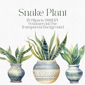 Aquarela Cobra Planta Clipart Download digital PNG Vaso de cerâmica Clipart Diário individual Plantas de interior Clip art Elementos individuais