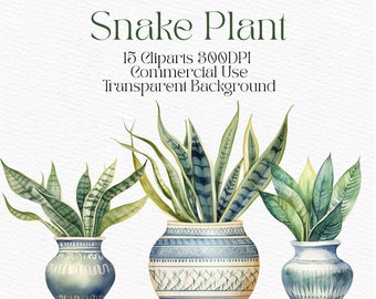 Watercolor Snake Plant Clipart Digital Download PNG Ceramic Vase Clipart Individual Journal Indoor Plants Clip art Individual Elements