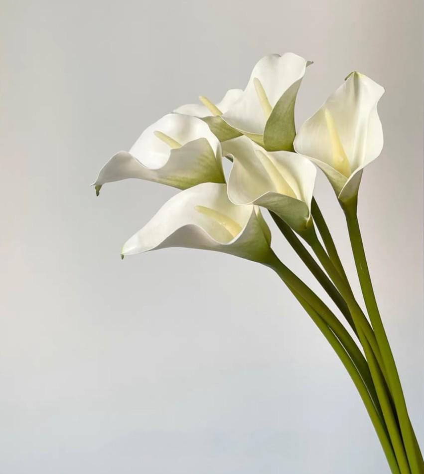 Artificial Calla Lily Stem