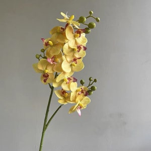 White Orchid Stem -12 head/ real touch/High Quality Artificial Flower / DIY / Floral / Centerpiece / Home Decoration / Gifts