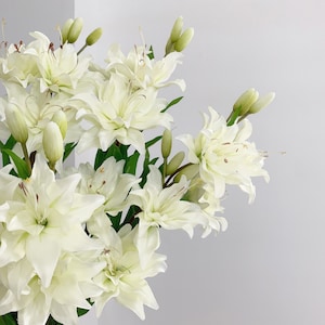 May include: A bouquet of white lilies with multiple layers of petals and green stems and leaves. Some of the lilies are in full bloom, while others are still in bud form. The flowers are set against a plain white background.