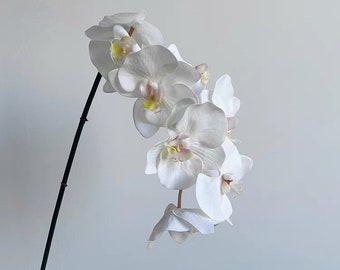 Orchidée au toucher véritable / 8 têtes / Fleur artificielle de haute qualité / DIY / Floral / Centre de table / Déco maison / Cadeaux