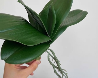 Realistic Orchid Leaf with Roots | Artificial Greenery, DIY Floral Decor