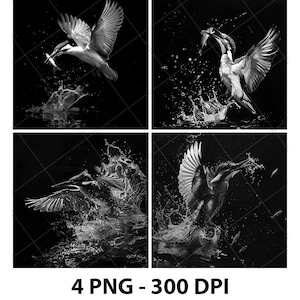 Martin pescatore uccello che mangia pesce mare laser file PNG incisione ardesia sottobicchiere incisione Xtool bruciatura legno nero bianco cnc, glowforge, lightburn, diodo CO2 3D
