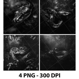 May include: A grayscale digital art print featuring four panels of a snake in a jungle setting. The snake is coiled and slithering among the foliage. The text "4 PNG - 300 DPI" is at the bottom.
