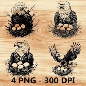 Águila madre, nido de pájaro, huevos, halcón, archivo láser, grabado en madera, PNG, tabla de cortar para cocina, patrón de tablón, posavasos, Xtool, Glowforge, LightBurn, CO2, 2D
