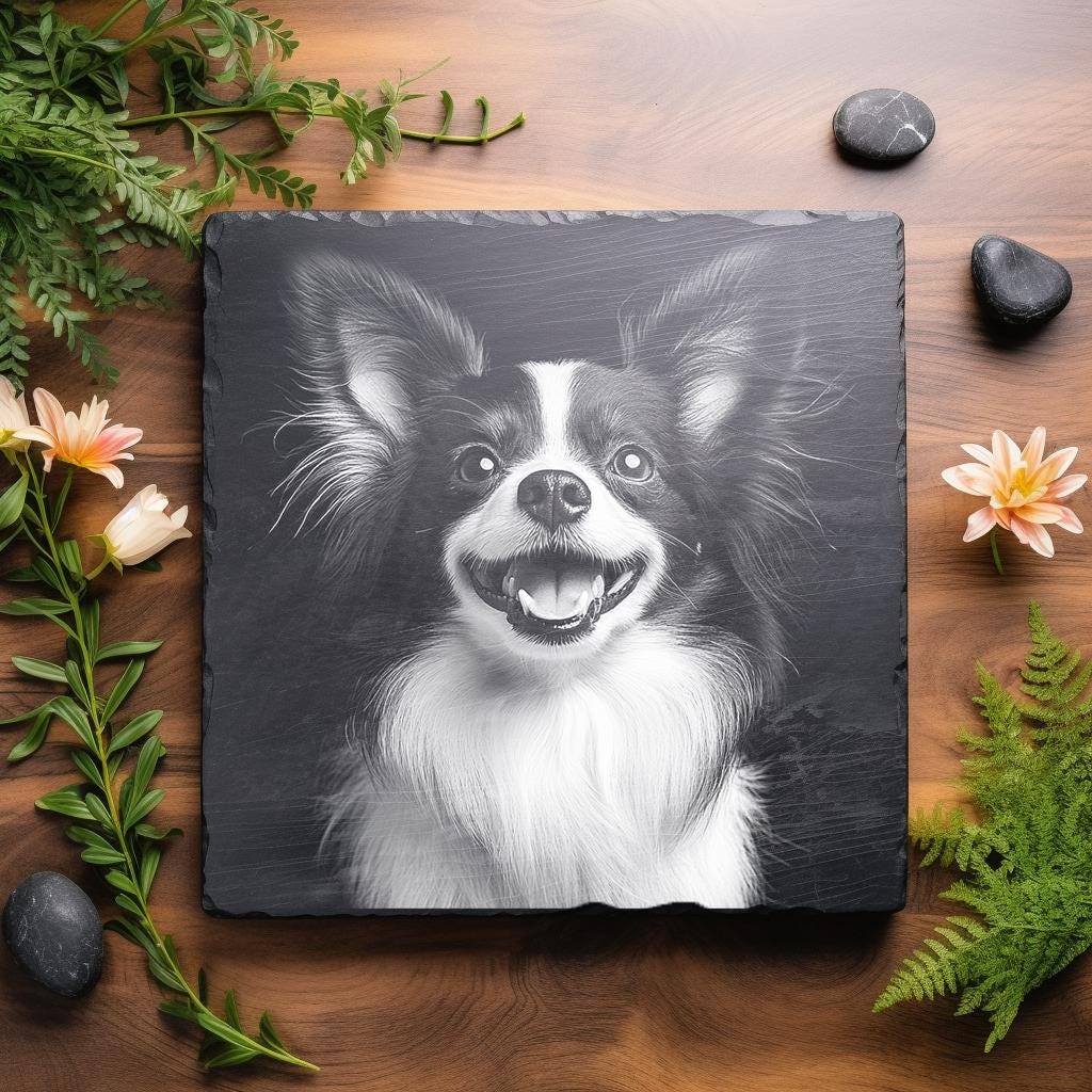 パピヨン犬の肖像画 顔 スレート彫刻ファイル レーザー彫刻 PNG