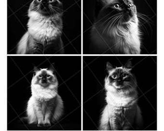 Balinese Cat Cute Portrait Face Slate Engraving File Laser Engraved PNG Design Pattern 2026 Trending Gift Personalized Wood Etched Stone