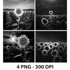 Sunflowers Flower Garden Farm Laser Engraving File Slate PNG Coaster Xtool Wood Black White Grayscale Cnc Glowforge LightBurn CO2 Diode 3D