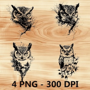 Búho Ojos grandes Pájaro Mascota Animal del bosque Archivo láser Grabado en madera PNG Tabla de cortar para cocina Patrón de tablón Posavasos Xtool Glowforge LightBurn