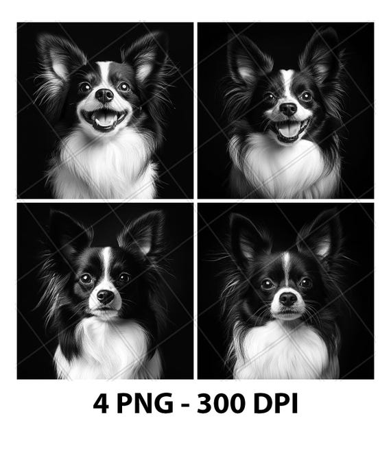 パピヨン犬のポートレート、顔、レーザー彫刻ファイル、スレートPNG