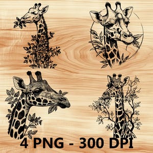 Jirafa africana comiendo sabana Archivo láser Grabado en madera PNG Tabla de cortar para cocina Patrón de tablón Posavasos Xtool Glowforge LightBurn CO2 2D