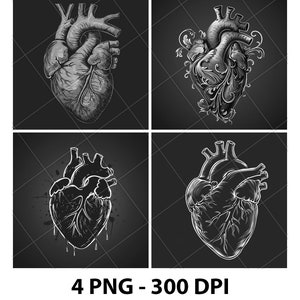 Menschliches Herz Herz Anatomie 2D Laser Gravur Datei Schiefer PNG Untersetzer Xtool Holz Schwarz Weiß Graustufen Cnc Glowforge LightBurn CO2 schlüssel