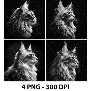Raça de gato Maine Coon Kitten KittyLaser Arquivo de gravação Slate PNG Coaster Xtool Madeira Preto Branco Tons de cinza Cnc Glowforge LightBurn CO2 Diodo