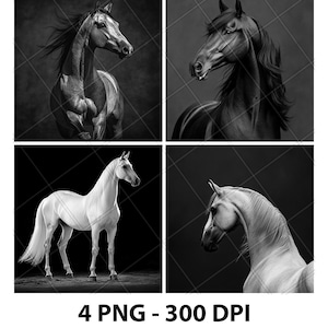 Arabian Horse Face Portrait Breed Laser Engraving File Slate PNG Coaster Etch Xtool Wood Burn Black White Cnc Glowforge LightBurn CO2 Diode