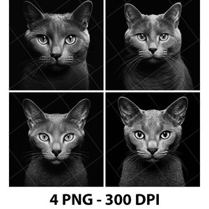 Chat bleu russe race chaton Kitty fichier de gravure laser ardoise PNG dessous de verre Xtool bois noir blanc en niveaux de gris Cnc Glowforge LightBurn diode CO2